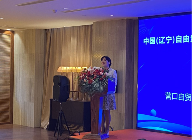 镁砂行业的风向标:动态与趋势